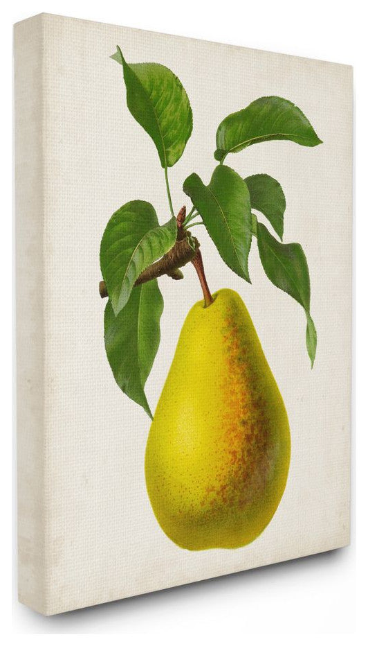 Vintage Fruit Pear Painting, 30"x40"
