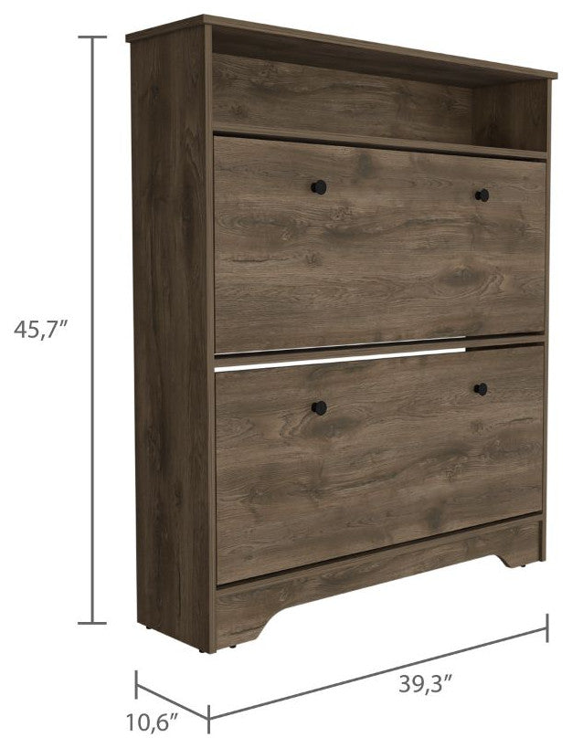 DEPOT E-SHOP Wayne Shoe Rack with 2 Doors, Dark Brown