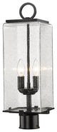 Zlite 592PHMR-BK 2-Light Outdoor Post Mount Fixture, Seedy