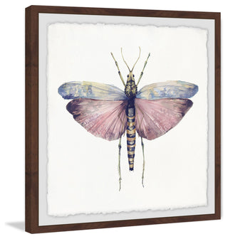 "Pink and Blue Wings" Framed Painting Print, 18"x18"