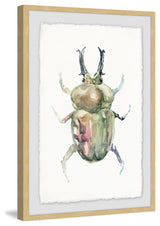 "Creepy Beetle" Framed Painting Print, 20"x30"