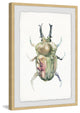 "Creepy Beetle" Framed Painting Print, 20"x30"