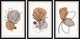 Ferns Grow Triptych, 3-Piece Set, 30x45 Panels