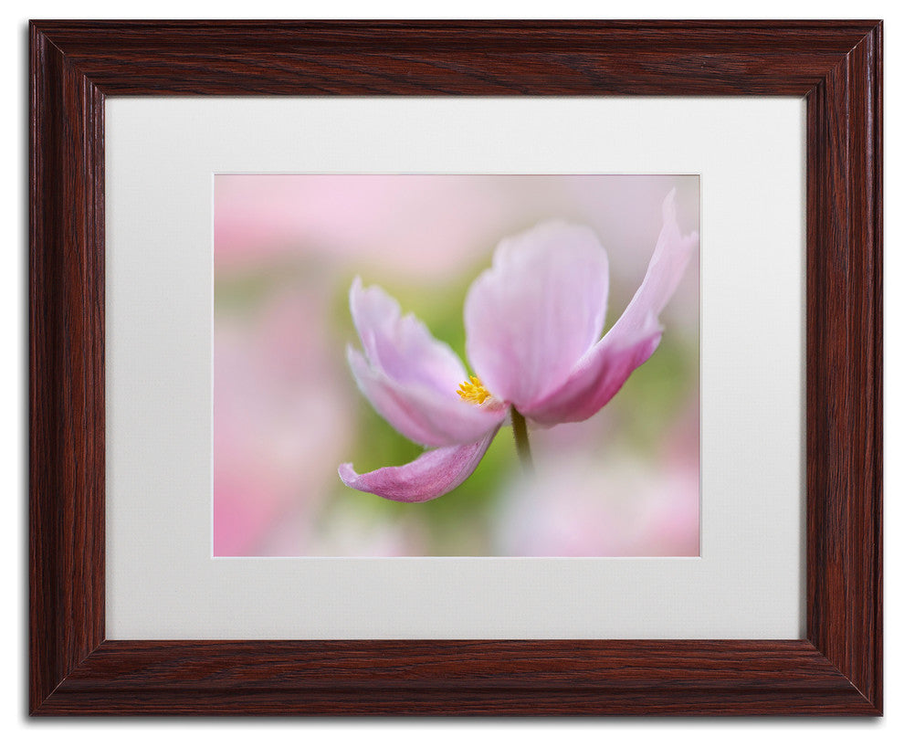 Cora Niele 'Pink Anemone' Matted Framed Art