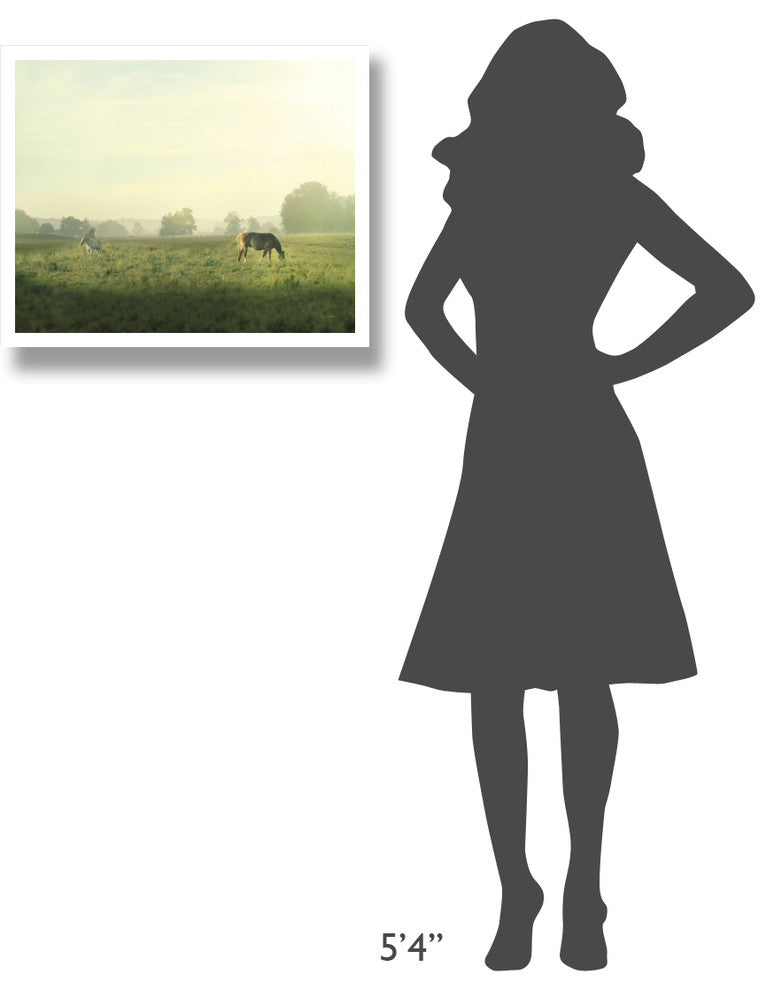 "Farm Morning I" Digital Paper Print by Sue Schlabach, 26"x22"
