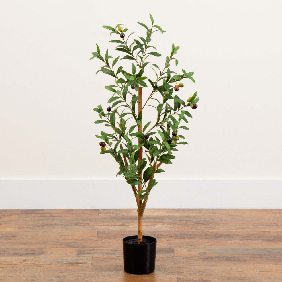 Lifestyle shot in a real room showing the full plant; no text or diagrams.