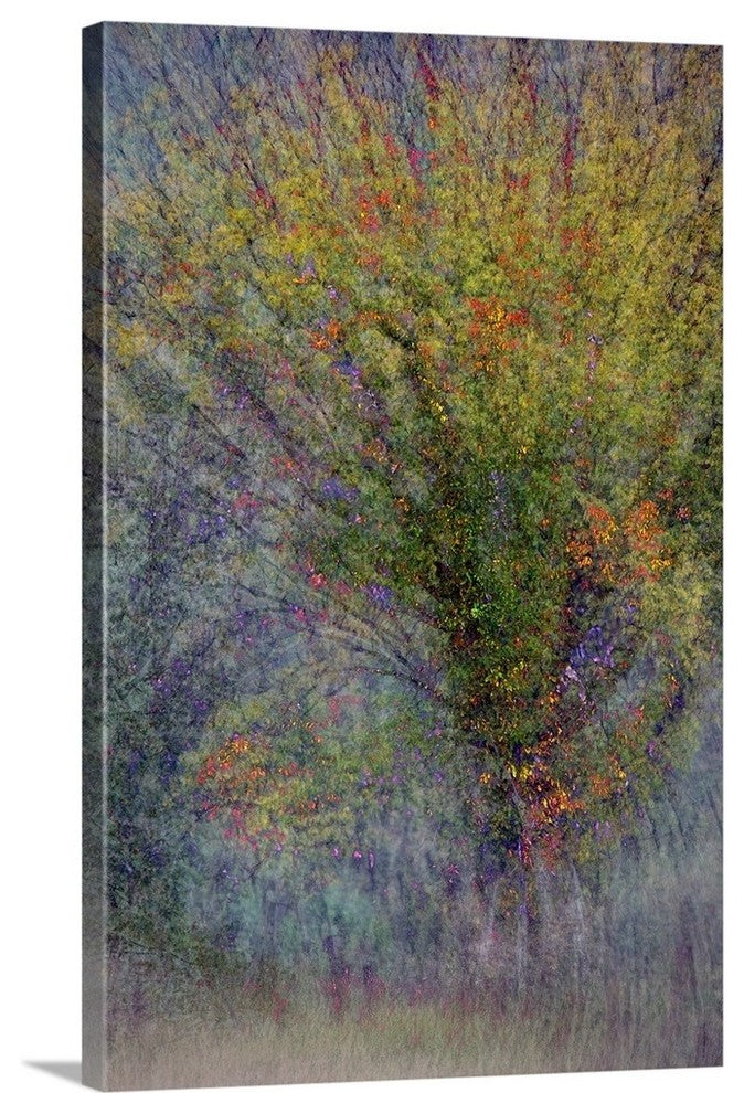 "Fall Fantasy" Wrapped Canvas Art Print, 32"x48"x1.5"