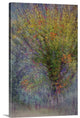 "Fall Fantasy" Wrapped Canvas Art Print, 32"x48"x1.5"