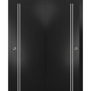 Bypass Doors 64 x 80 | Planum 0310 Matte Black with  | Sturdy Rails