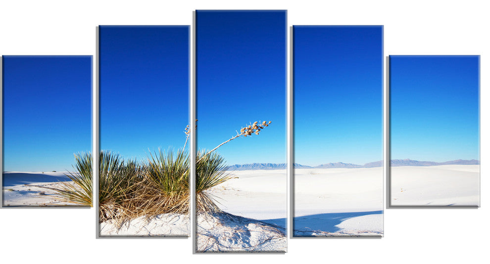 White Sands Park in Usa, Landscape Canvas Art Print, 60"x32", 5 Panels