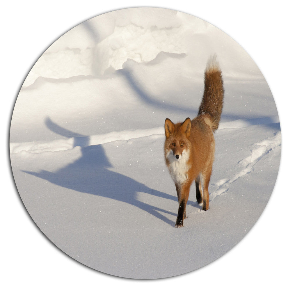 Brown Winter Cat With Footprints, Animal Large Disc Metal Wall Art, 11"