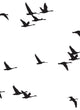 Soaring Birds Peel and Stick Vinyl Mural, Black, 24"x108", 6 Panel Set