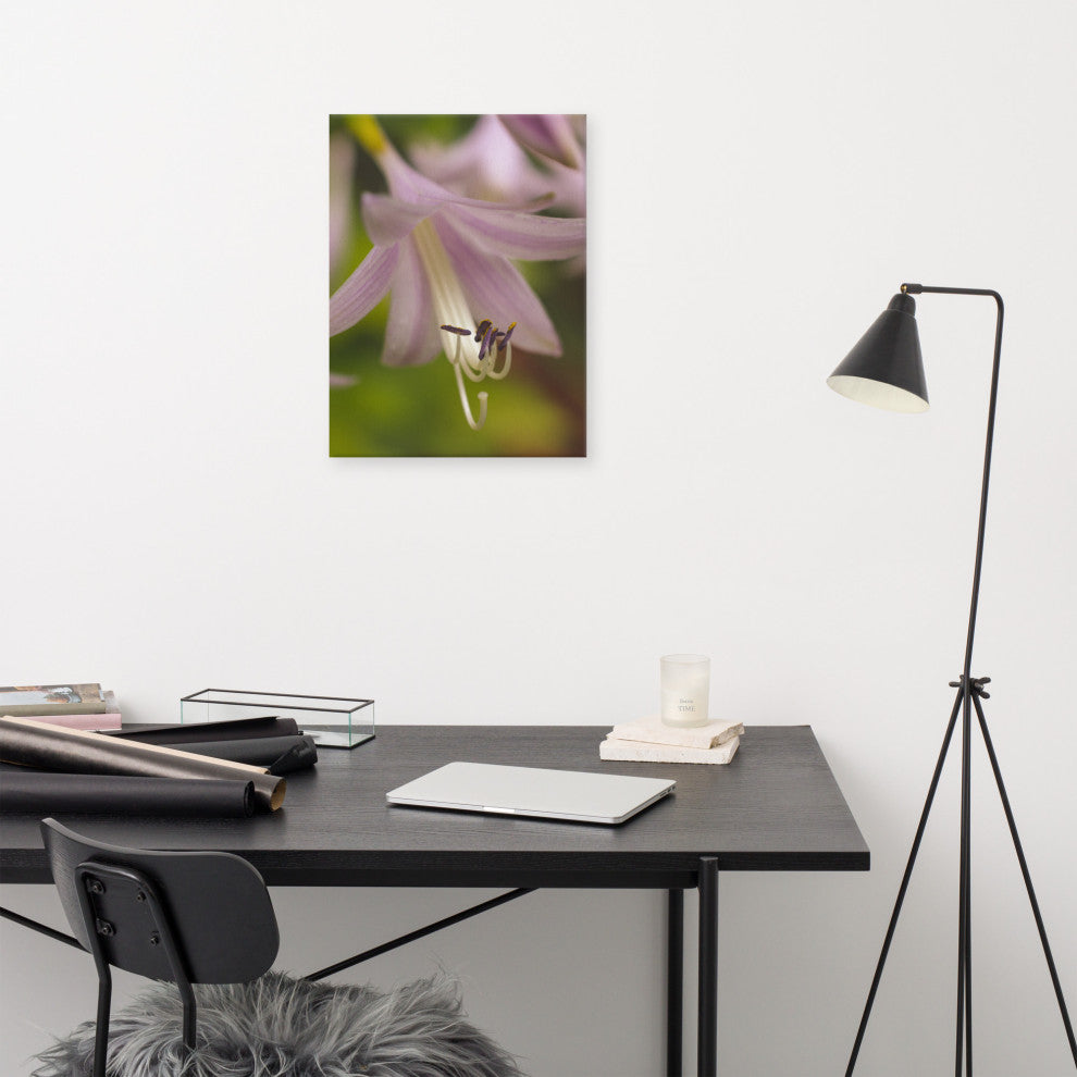 Close-up Hosta Bloom Floral Nature Photo Canvas Wall Art Print, 18" X 24"