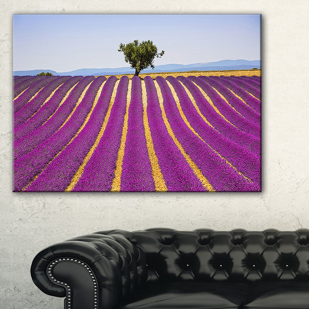 "Lavender And Lonely Tree Uphill" Landscape Wall Art Print, 40"x30"
