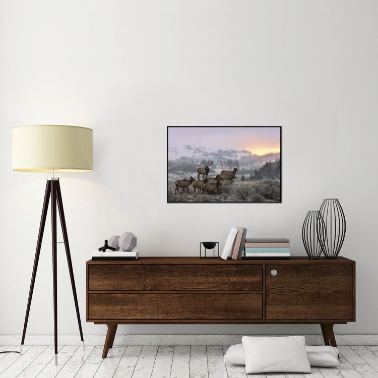 First Light, 36"x24"