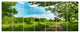 Green Forest Road and Blue Sky, Modern Landscape Canvas Art, 83"x32", 7 Panels