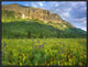 Gothic Mountain Overlooking Meadow Near Crested Butte, Colorado, 24"x18"