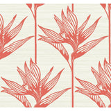 Bird Of Paradise Wallpaper