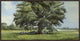 By My Side, 49.25"x25.25", Espresso Natural Wood Gallery Floater