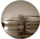 Flying Birds And Lonely Tree, Round Wall Art Landscape, 23"