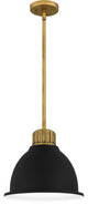 Quoizel QPP5569WS 1-Light Mini Pendant, Quoizel Piccolo Pendant