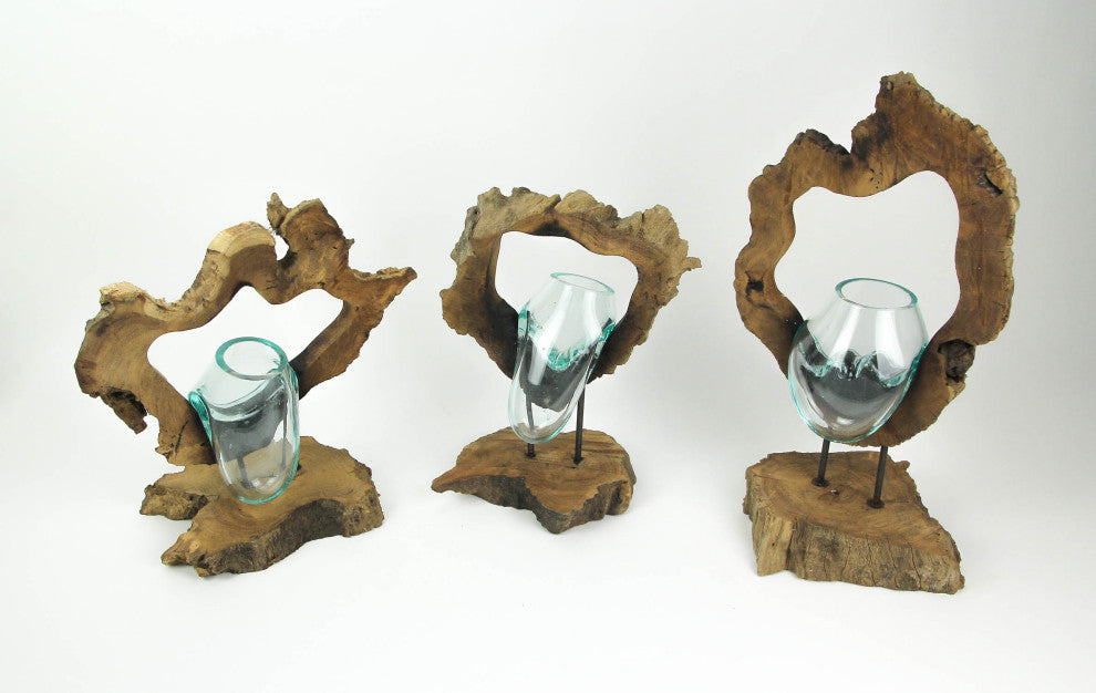 Framed Molten Glass Bowl / Succulent Terrarium On Natural Gamal Root Wooden Bas