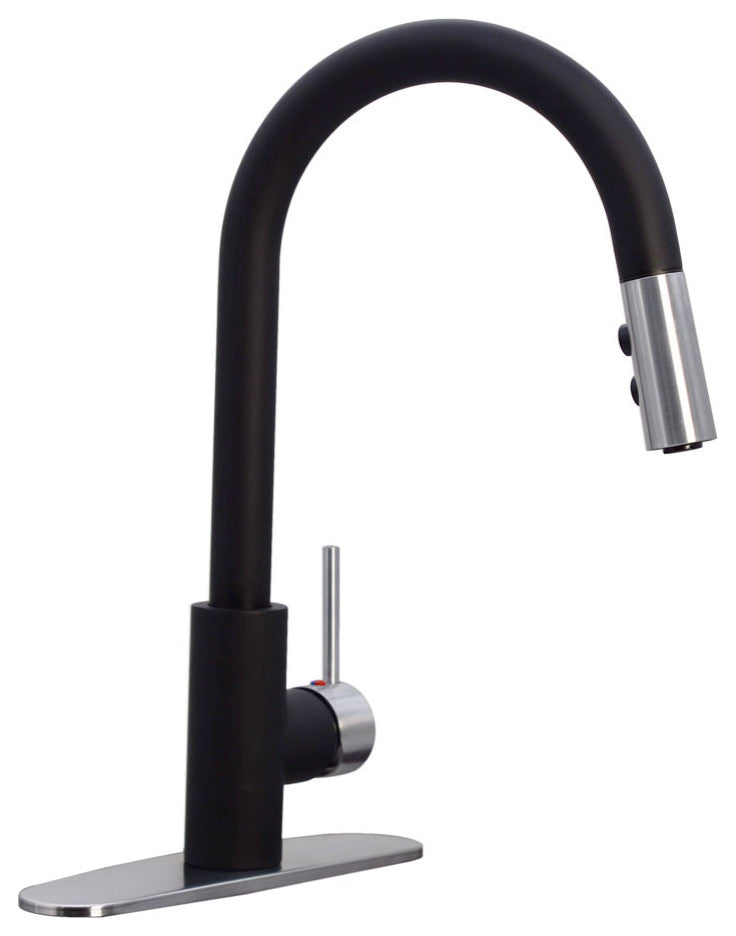 Kitchen Faucet Pull Down Dual Spray Hand Shower, Black/SS