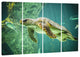 "Huge Turtle Swimming" Animal Digital Art Canvas Print, 4 Panels