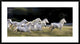 "Ten" Framed Digital Print by Milan Malovrh, 44x24"