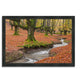 "Otzarreta Beech On A Red Carpet", Framed Photograph Print, Ready To Hang