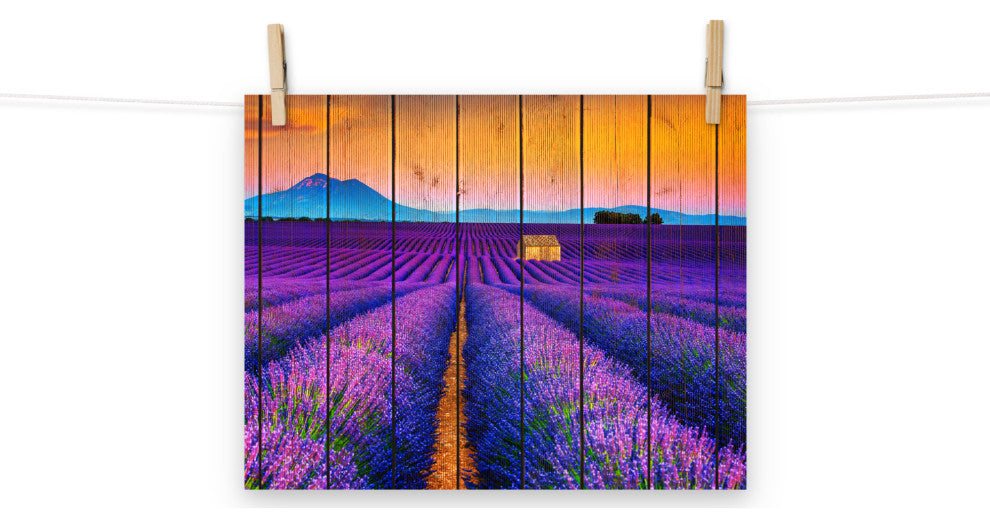 Faux Wood Lavender Fields and Sunset Landscape Unframed Wall Art Prints, 11" X 14"