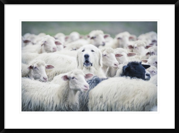 "In Disguise" Framed Digital Print by Adrian Popan, 32x24"