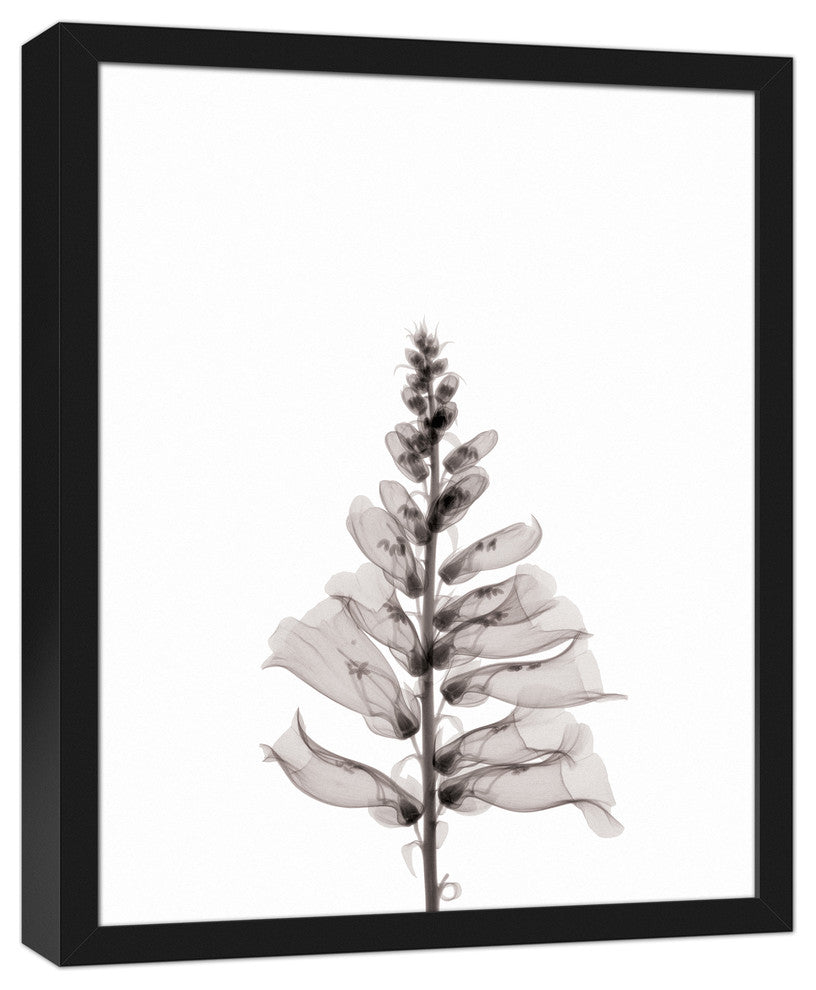Transparent Black and White Flower 16x20 Black Framed Canvas