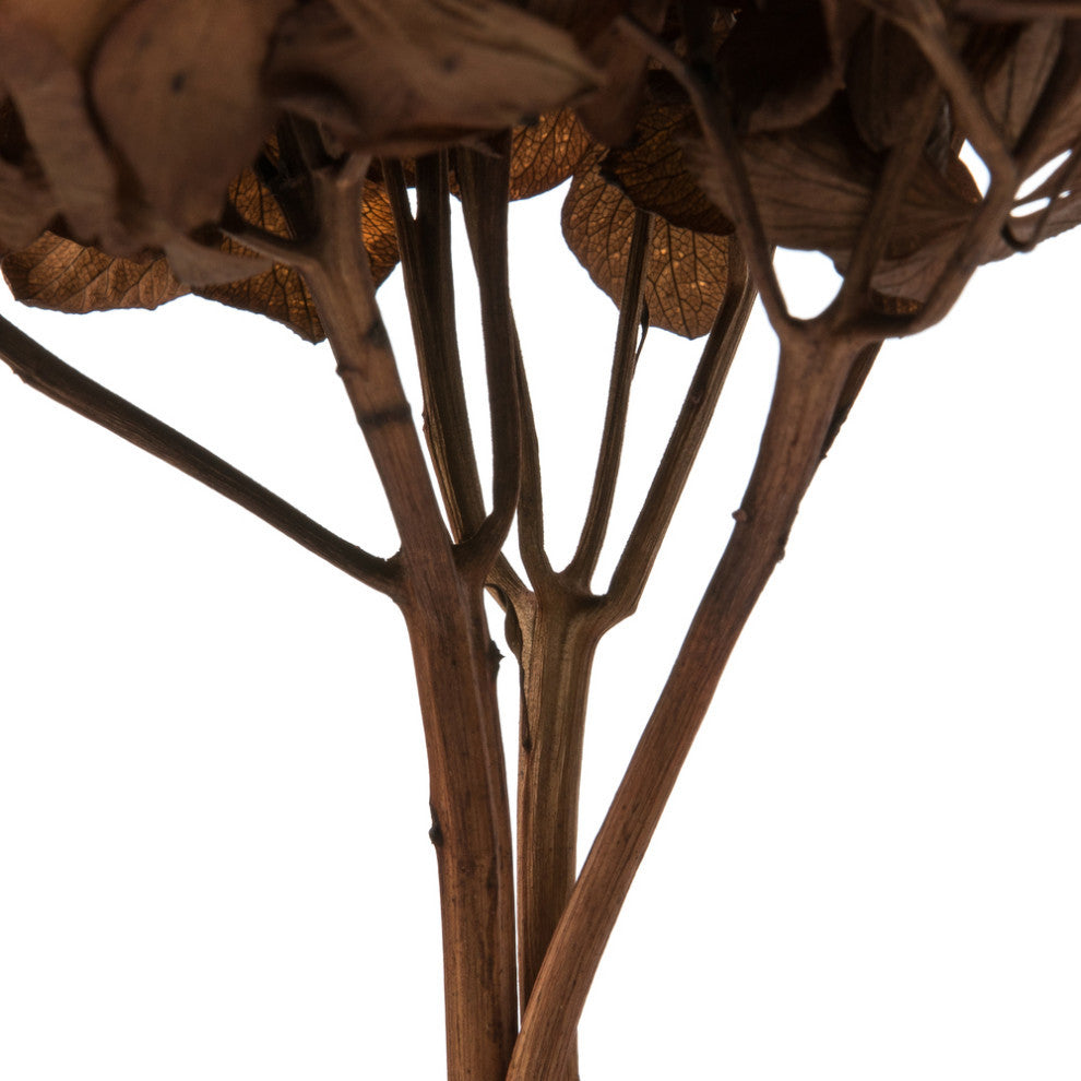 Vickerman Natural Botanicals 15 Hydrangea With Multiple Branch Segments