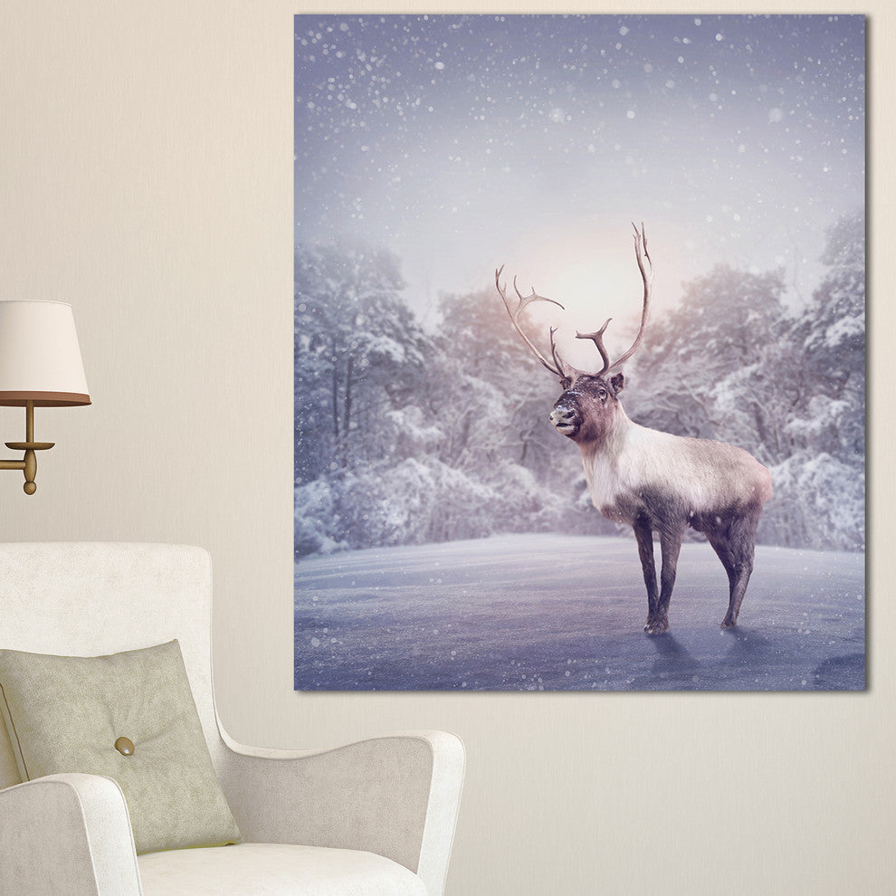 Huge Reindeer Standing in Snow, Animal Canvas Art Print, 30"x40"