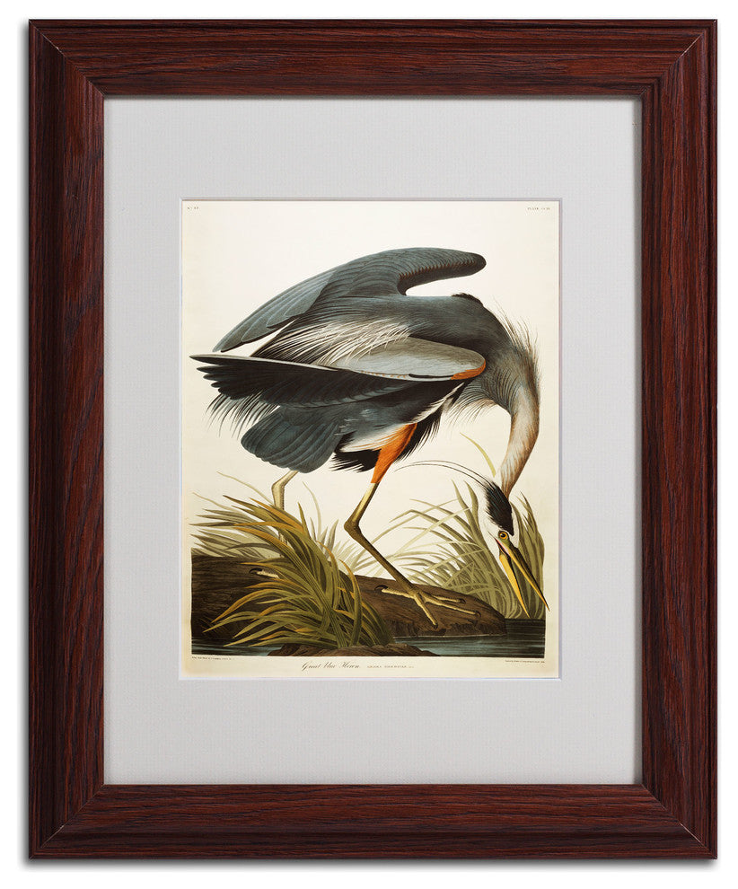 'Great Blue Heron' Matted Framed Canvas Art by John James Audubon