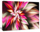 Exotic Red Fractal Spiral Flower, Oversized Abstract Canvas Art Print, 60x40