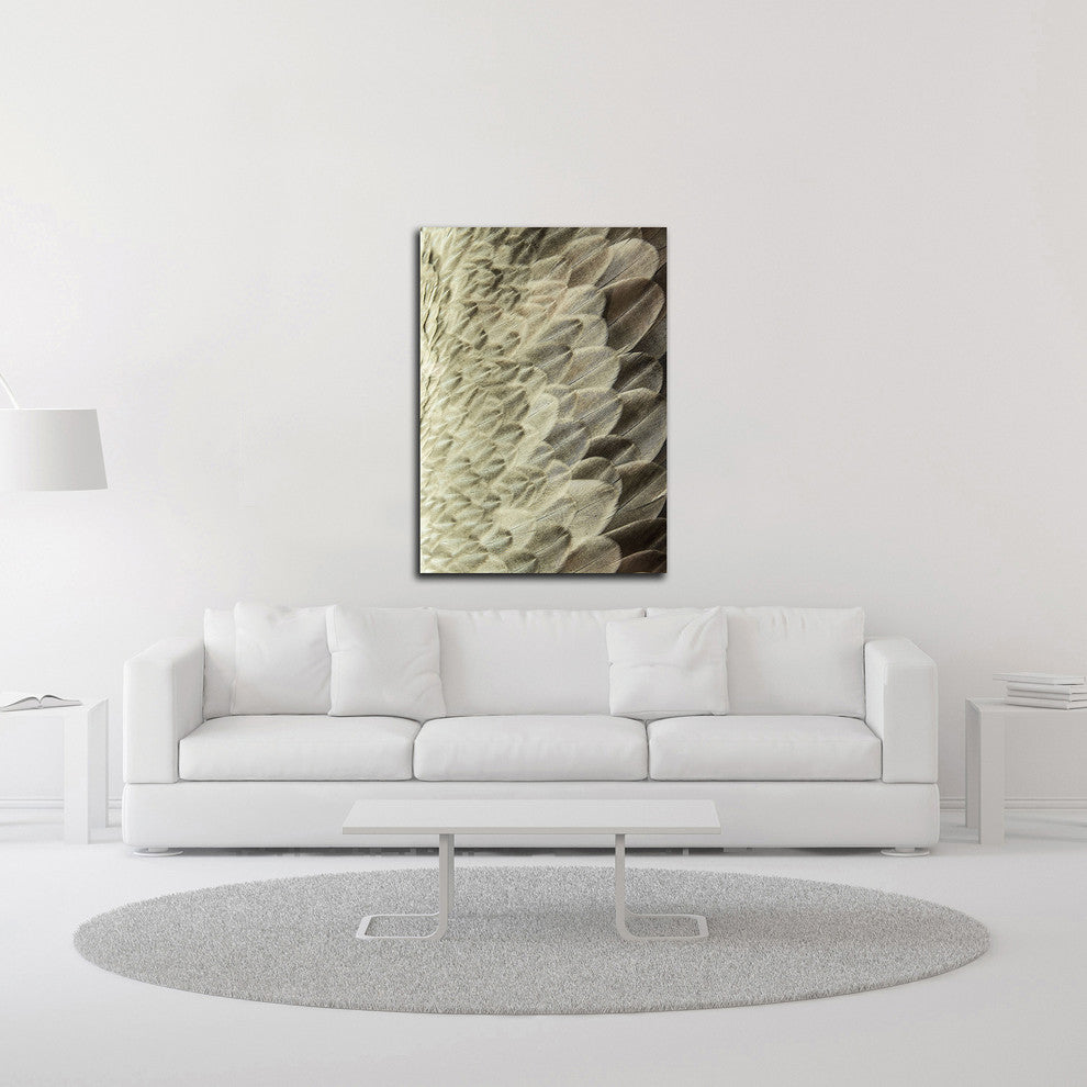 Volture II by Design Fabrikken, Print on Canvas, 25"x35"