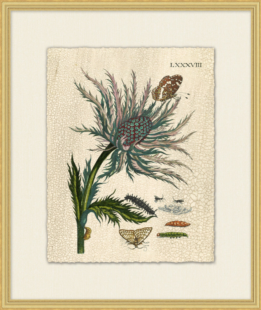 Prevailing Nature 2, Giclee Reproduction Artwork