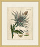 Prevailing Nature 2, Giclee Reproduction Artwork
