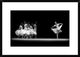 "Balerina Movement" Framed Digital Print by Antonyus Bunjamin, 30x21"