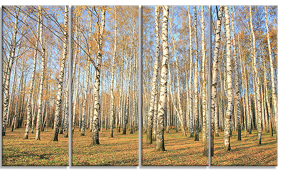 Autumn Birch Grove in Sunlight, Modern Forest Canvas Art, 48"x28", 4 Panels