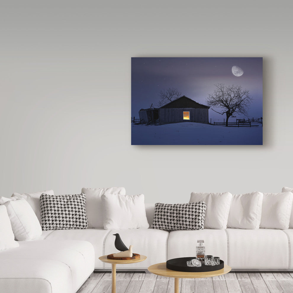 "Winter Night" by Ata Alishahi, Canvas Art, 12"x19"