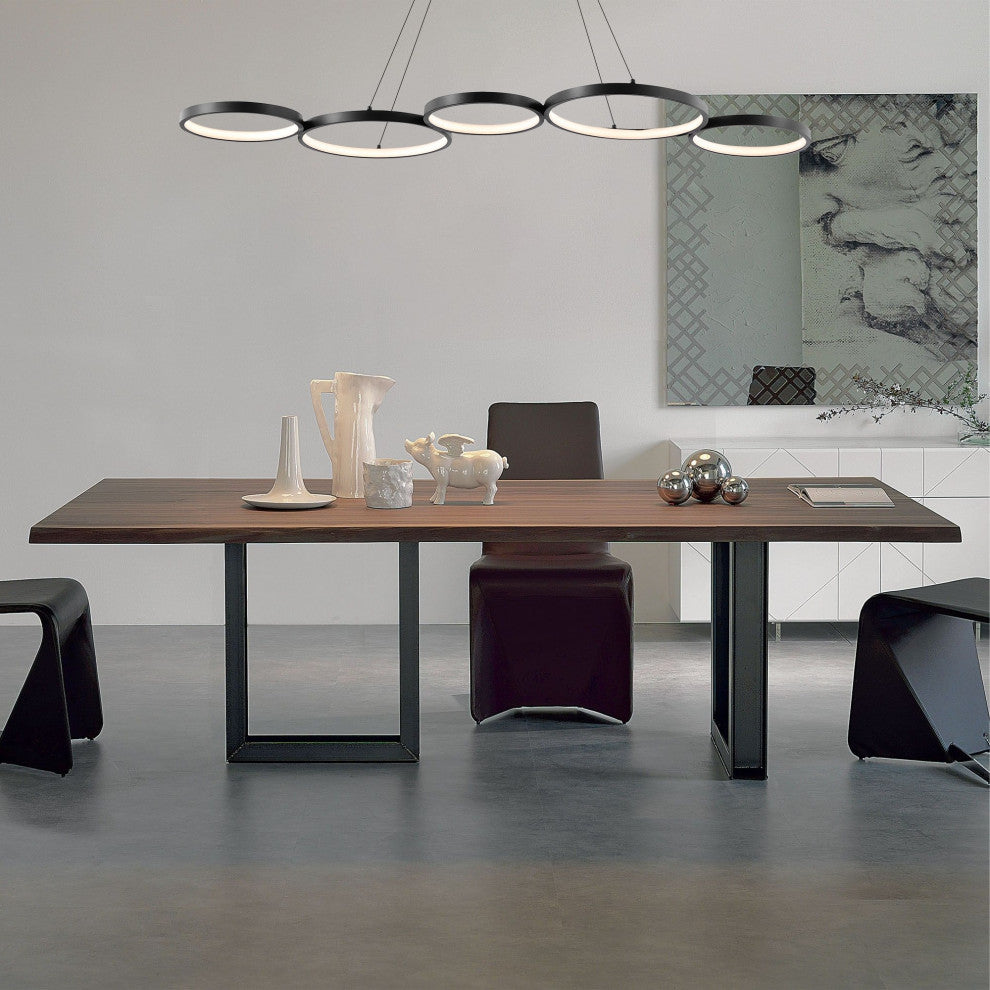 Roman 40.75" 5-Light Bohemian Coastal Iron Linear Integrated LED Pendant, Black