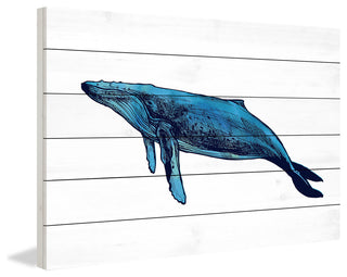 "Whale Humpback" Painting Print on White Wood