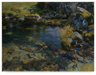 John Singer Sargent 'Alpine Pool' Canvas Art, 47"x35"
