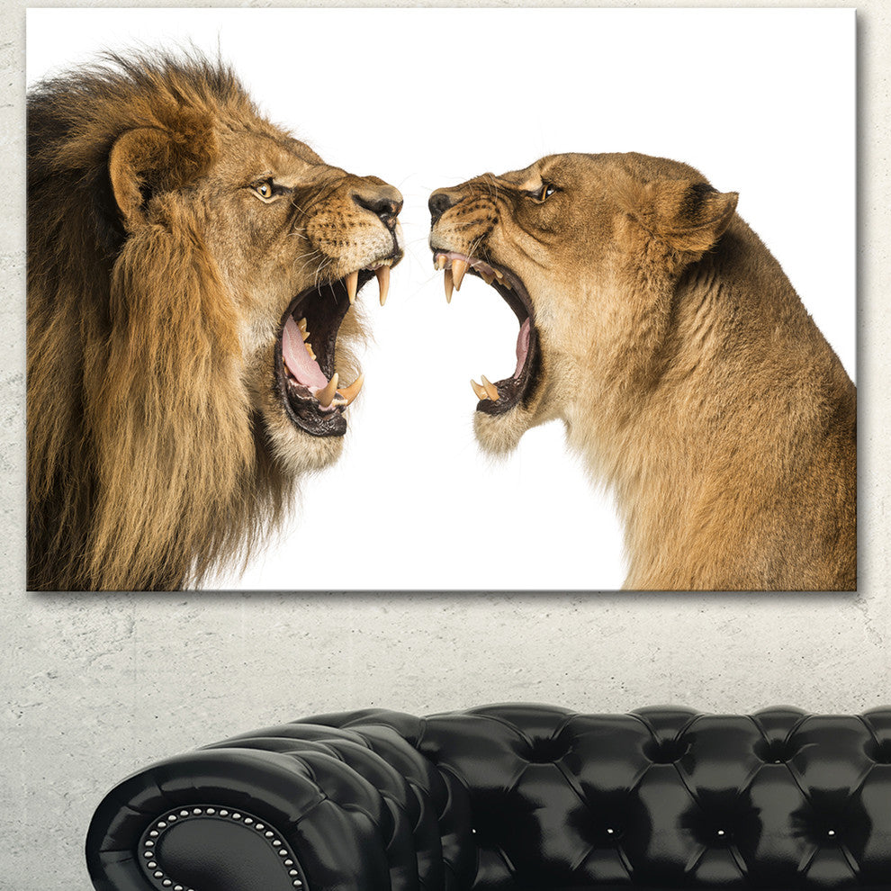Lion and Lioness Roaring, Abstract Canvas Art Print, 40"x30"