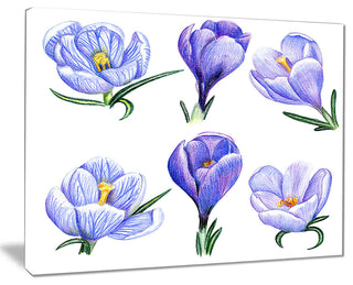 "Hand-Drawn Crocuses" Canvas Print, 20"x12"