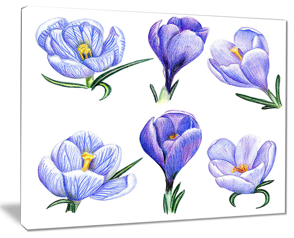 "Hand-Drawn Crocuses" Canvas Print, 20"x12"