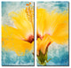 Painted Petals XVII Canvas Wall Art 2-Piece Set, 40"x20"